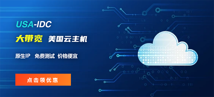美国云主机带宽经常被占满怎么办？